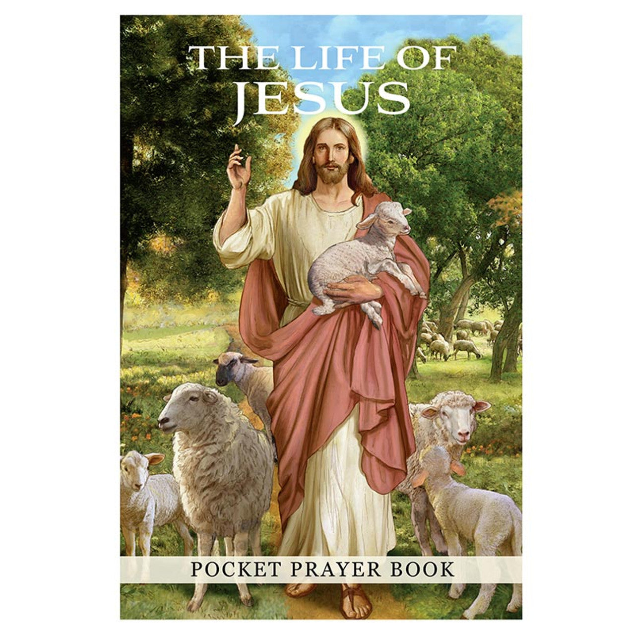 Life Of Jesus - 12/pk